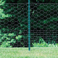 Hot sales galvanized chicken hexagonal wire netting